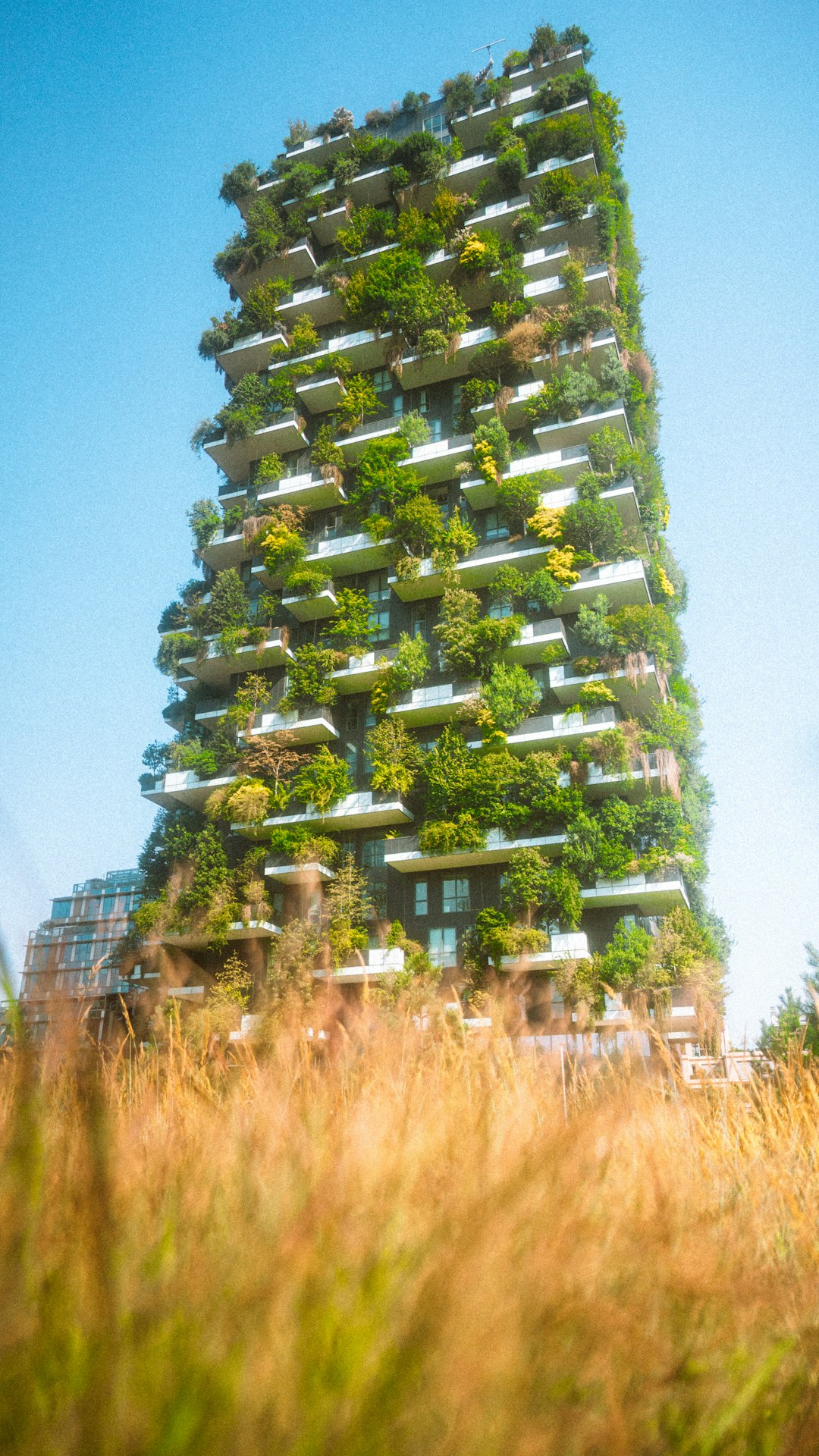 Sustainable Building Solutions